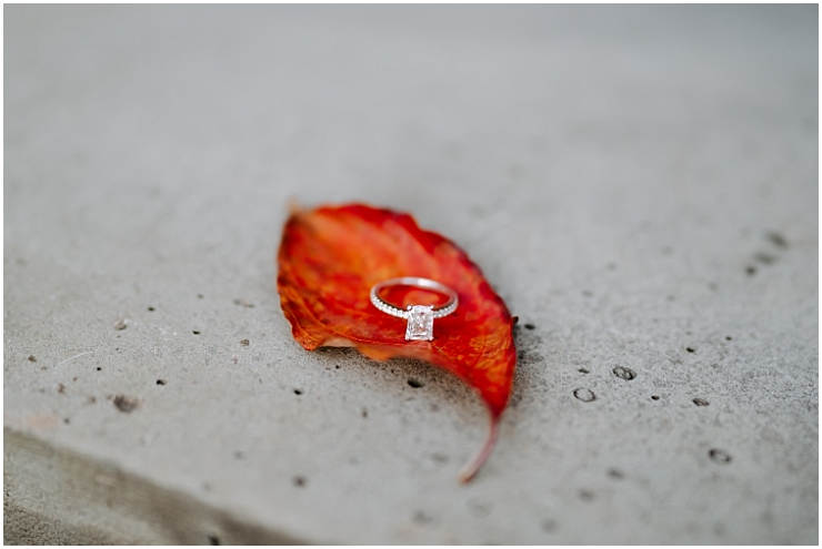 Fall Engagement Ring Photo Maryland Wedding Photographer