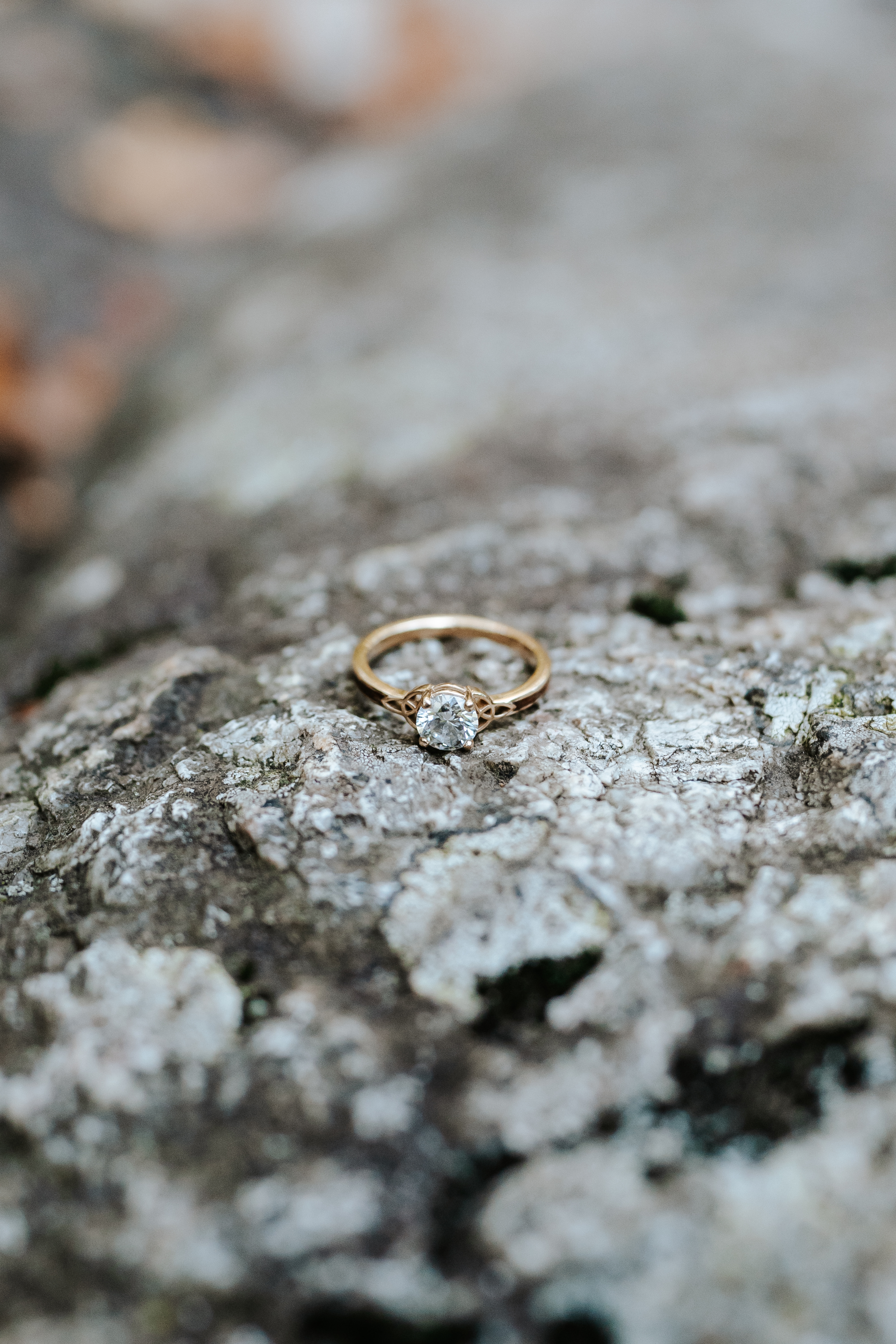 Fall Norvin Green State Forest Ringwood Engagement Session New Jersey Wedding Photographer