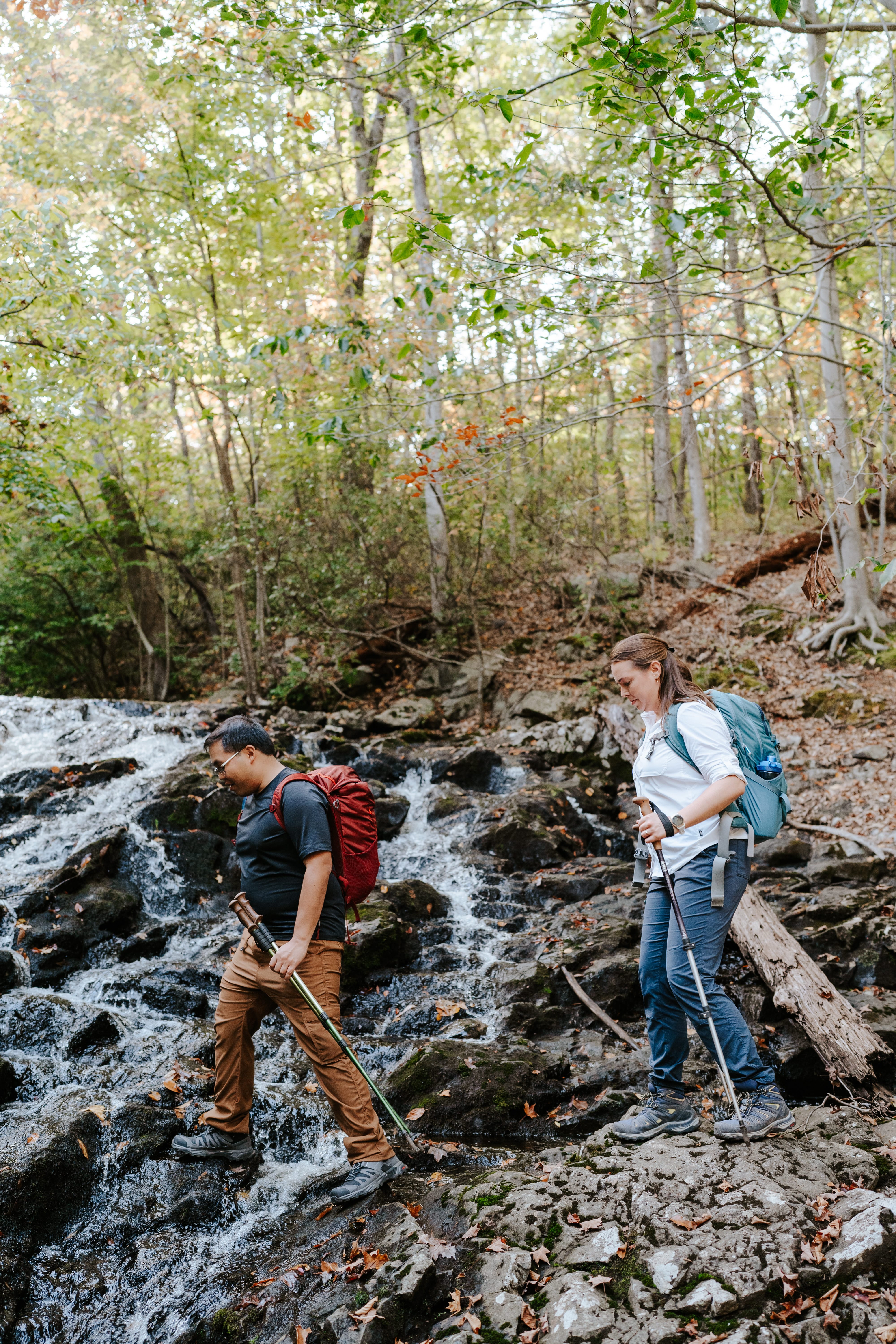 Fall Norvin Green State Forest Ringwood Engagement Session New Jersey Wedding Photographer