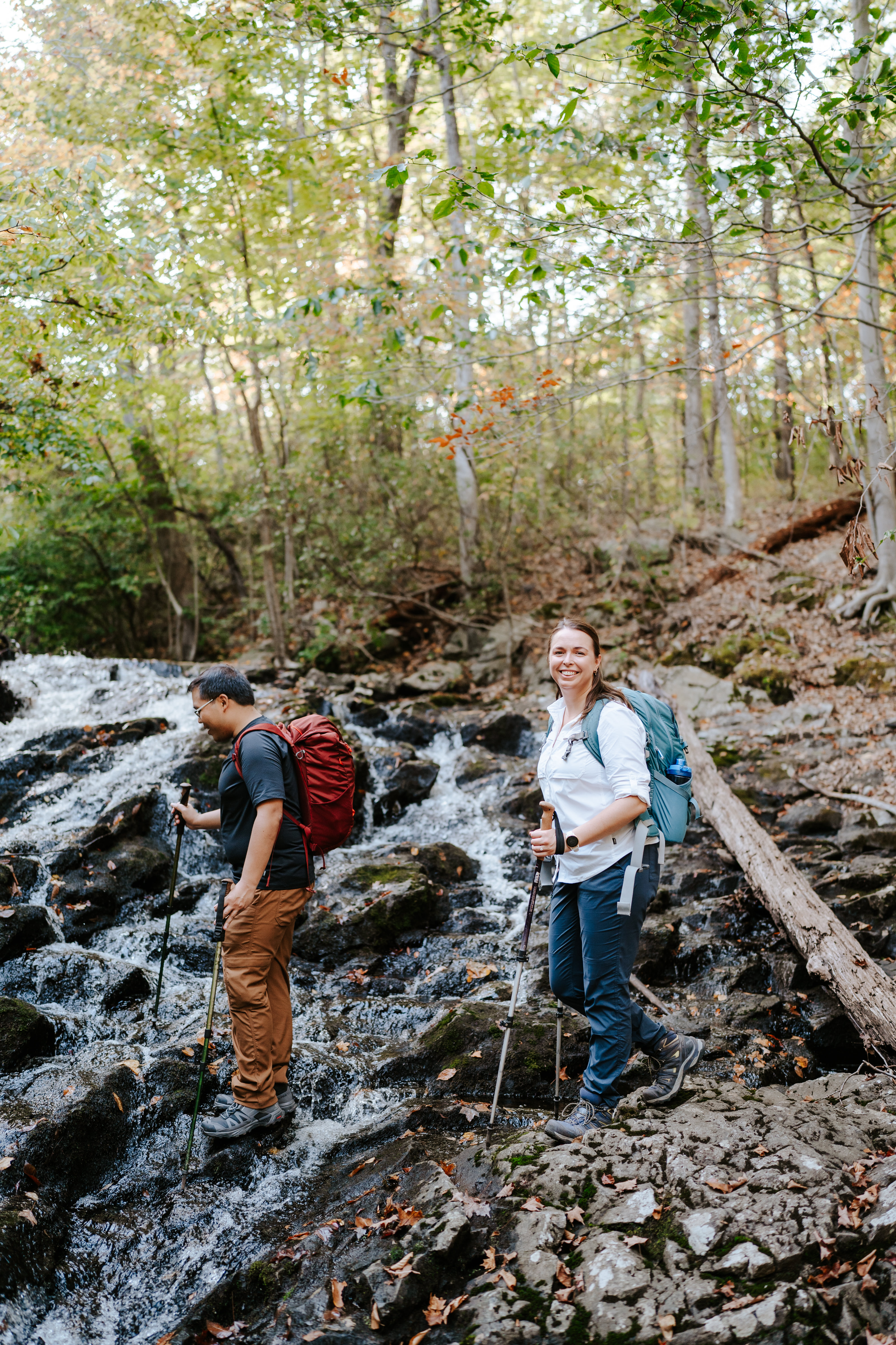 Fall Norvin Green State Forest Ringwood Engagement Session New Jersey Wedding Photographer