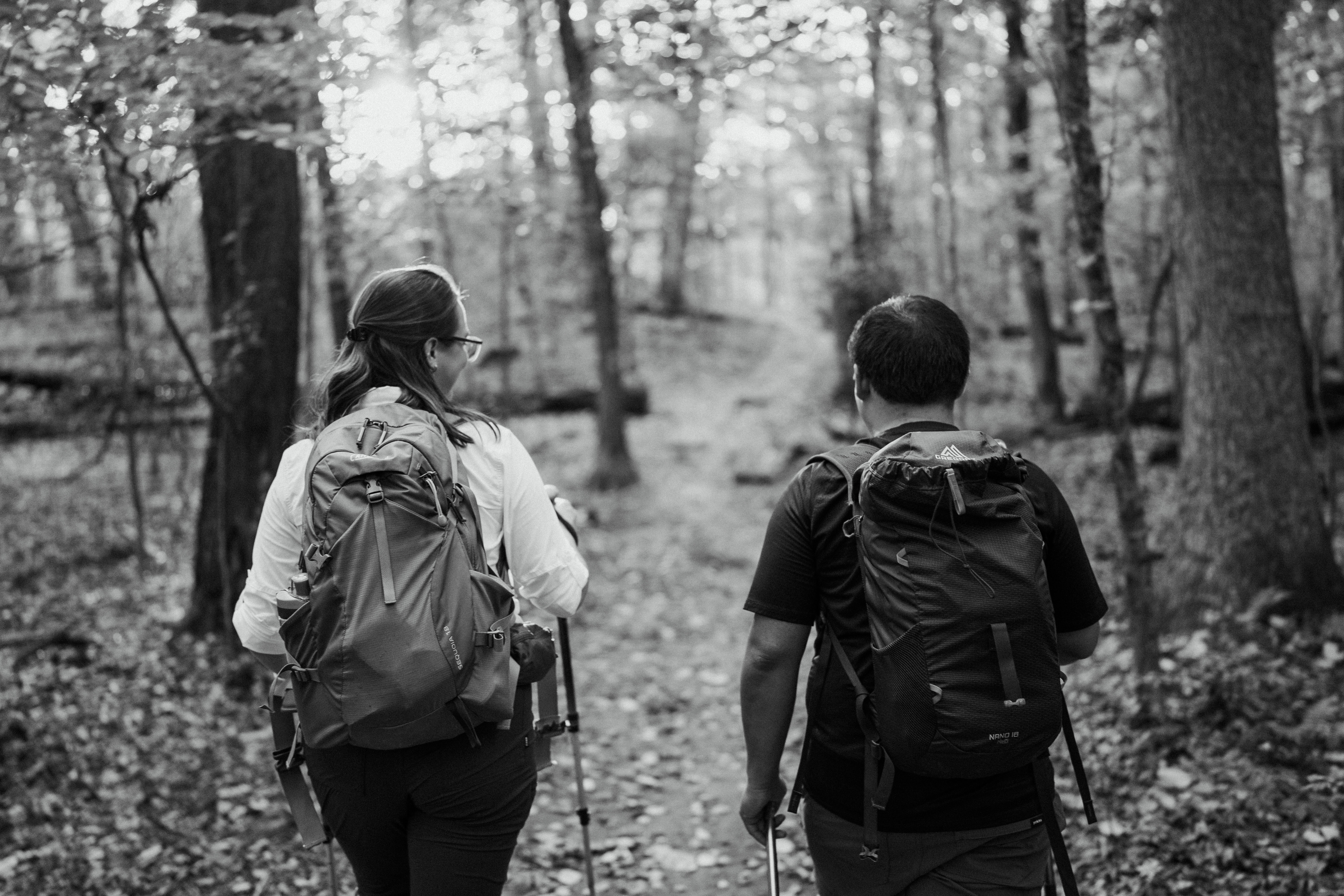 Fall Norvin Green State Forest Ringwood Engagement Session New Jersey Wedding Photographer