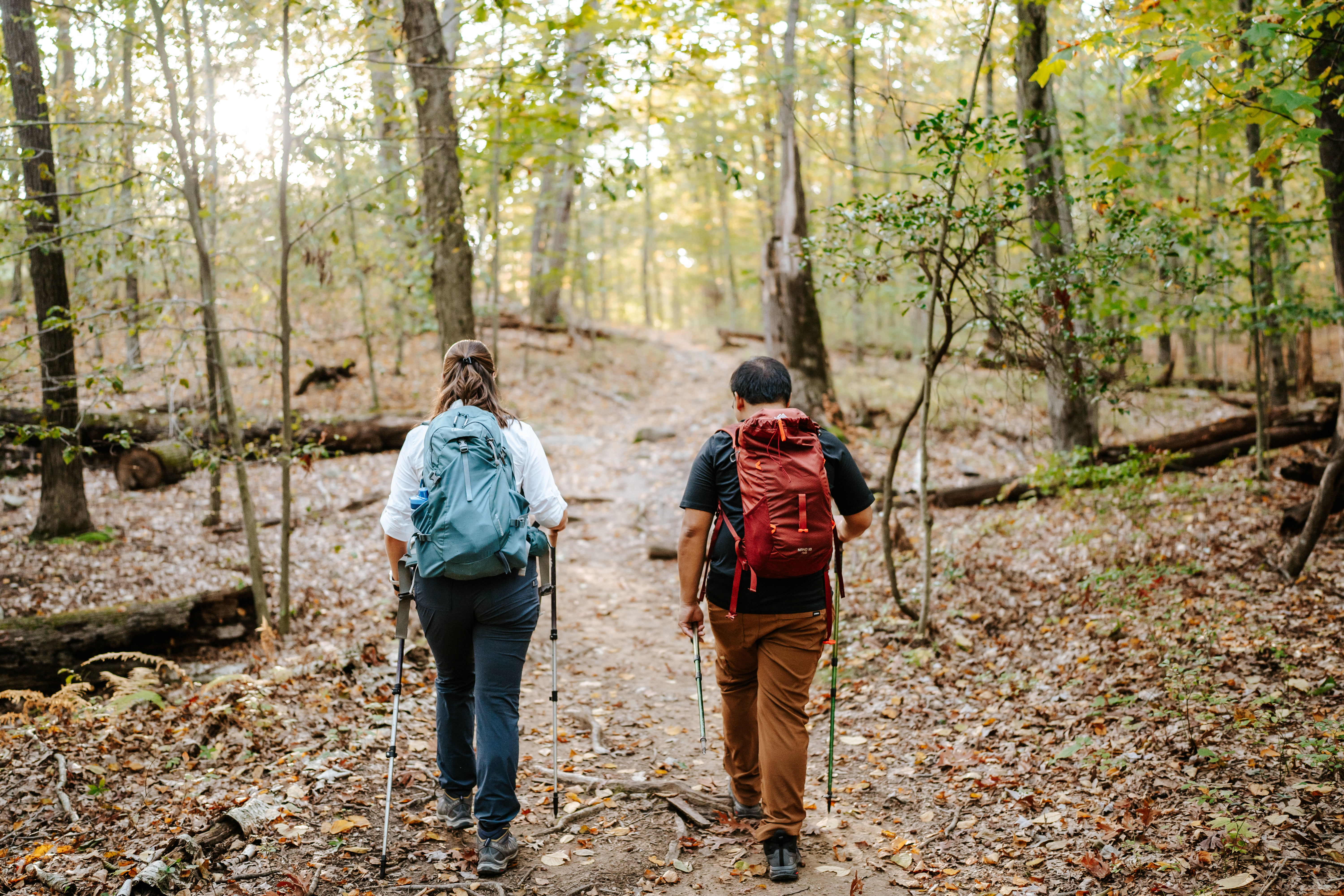 Fall Norvin Green State Forest Ringwood Engagement Session New Jersey Wedding Photographer