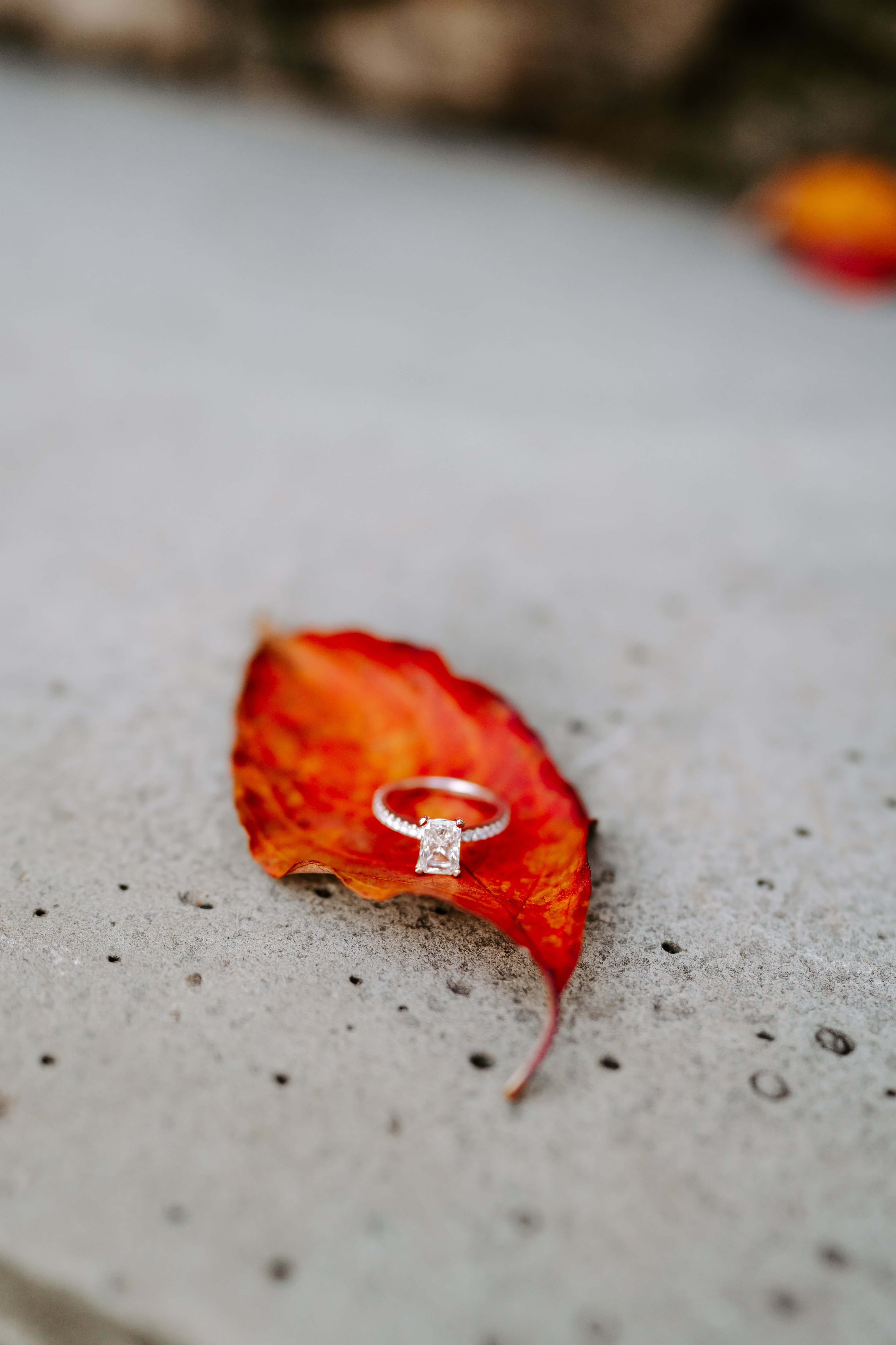 Fall Cross Estate Gardens Bernardsville Engagement Session New Jersey Wedding Photographer