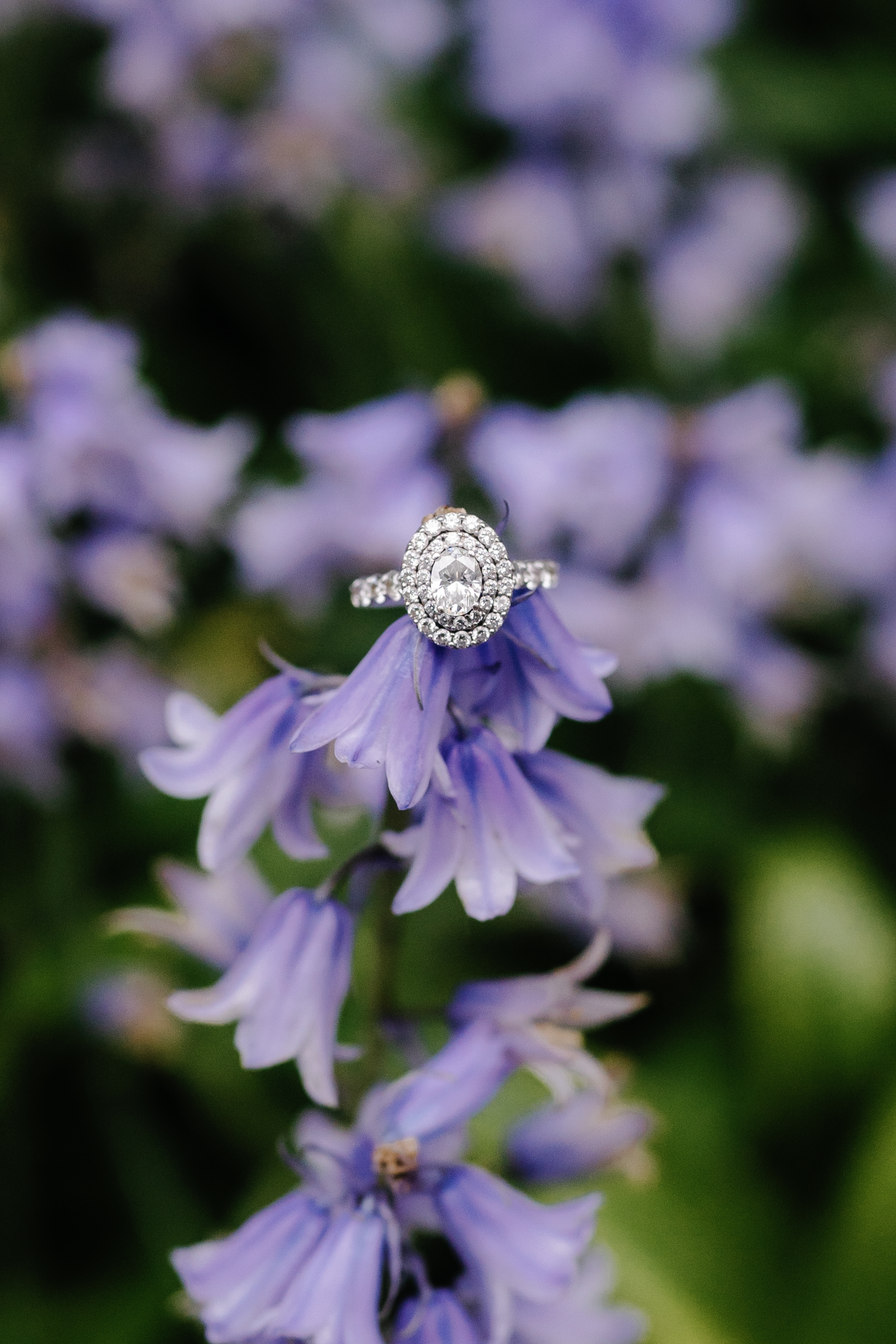 Spring Longwood Gardens Engagement Session Pennsylvania Wedding Photographer